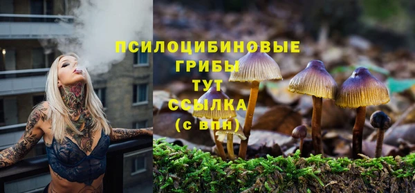 спайс Алексин