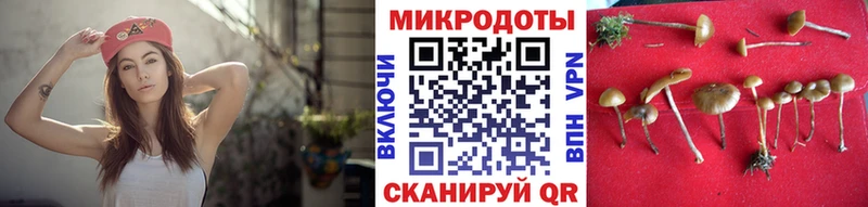 Галлюциногенные грибы ЛСД  купить   Данков 