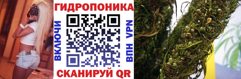 наркотики  МЕГА ONION  Канабис конопля  Данков 